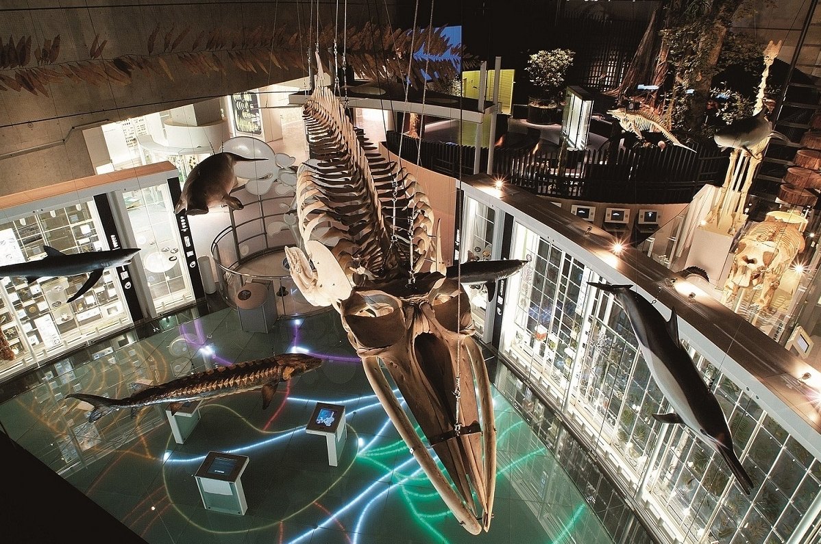 National Museum of Nature and Science, Ueno